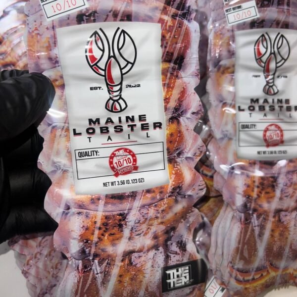 maine lobster
