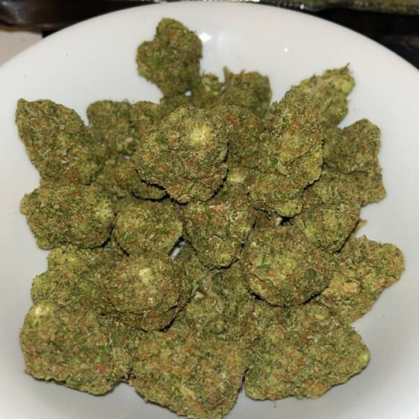 gelato 41