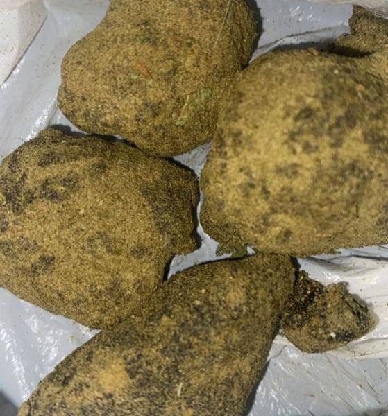 zkittlez moon rocks